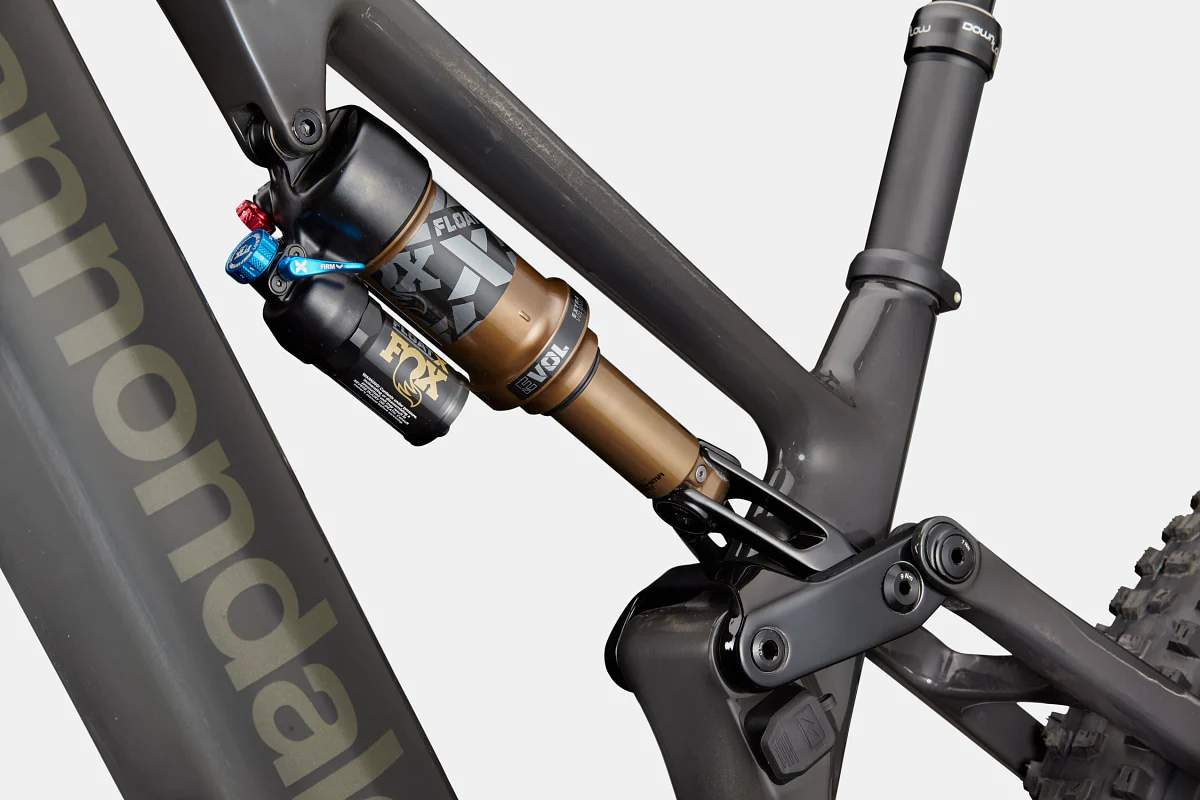 Cannondale - 2024 Moterra SL 1 Raw XL - Image 6