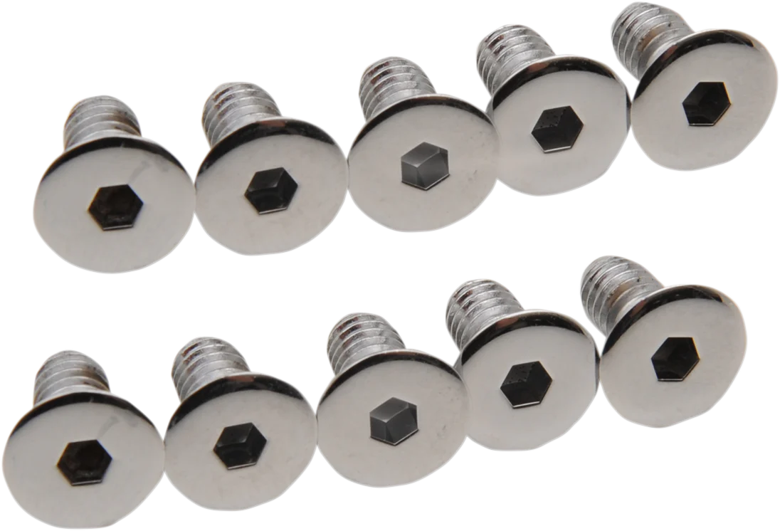 DRAG SPECIALTIES Cover Screws - Derby/Inspection MK157