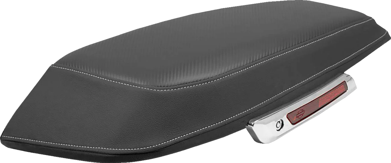 SADDLEMEN Saddlebag Cover - Carbon Fiber - FLT/FLH '23-'24 L870-23-CF